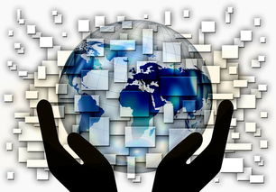 乐鱼体育网址入口-中国篮球教练员战术创新与应用案例分析,篮球教练基本战术