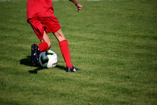 乐鱼体育平台官网-中国篮球教练员战术创新培训体系，全国篮球教练员岗位培训