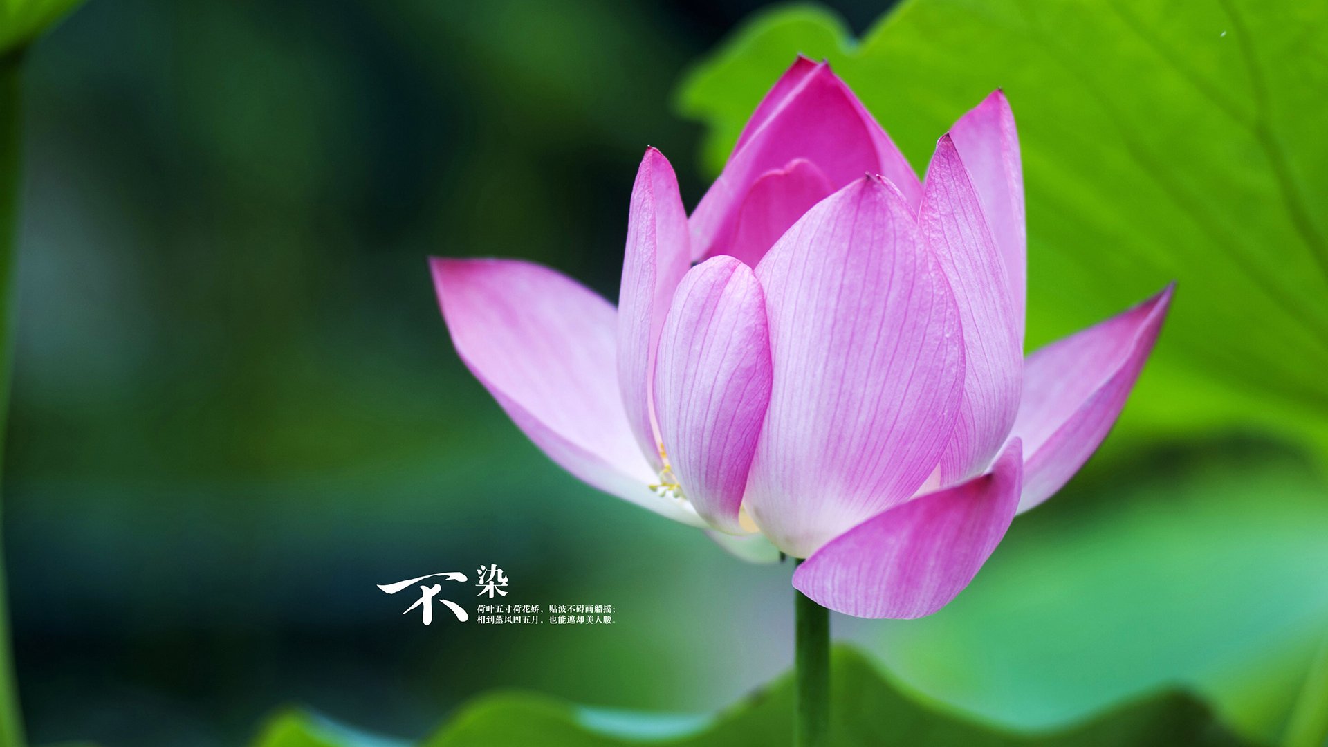 乐鱼体育网址-中国篮球教练员战术创新案例及实战应用研究，2021中国篮球教练员培训