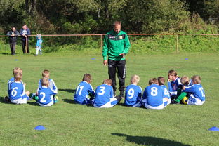 乐鱼体育官网下载-中国篮球教练员战术创新能力培养及评价体系建设,成功篮球教练员的五个工具