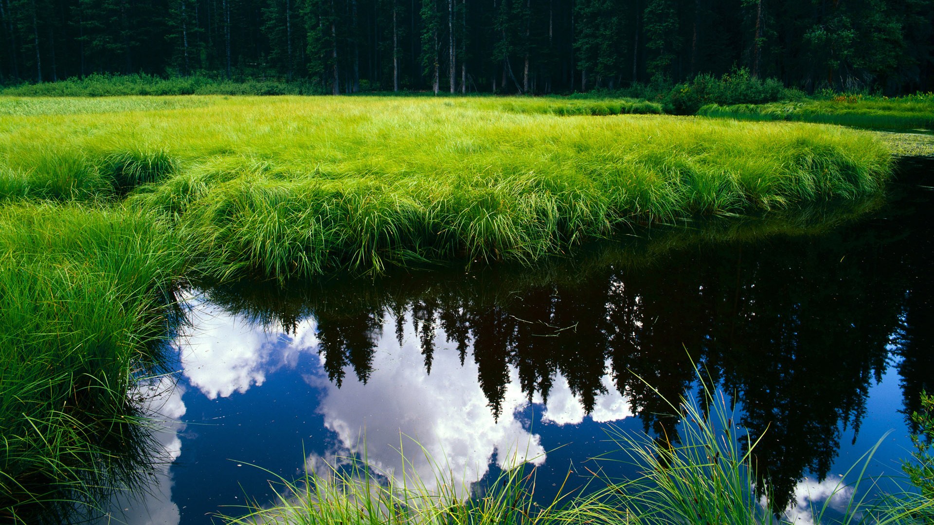 乐鱼体育平台官网-“短柄墙球：高新区全民健身馆，比赛不止是对抗，更是智商与反应速度的比拼”