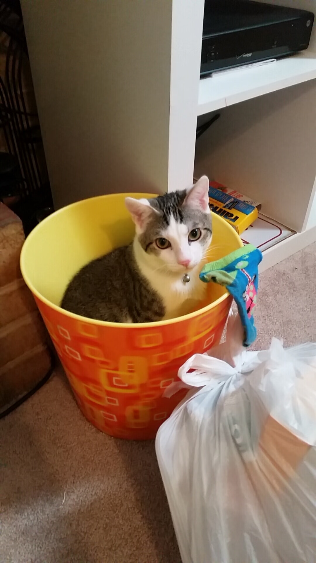 乐鱼体育app官网下载-“香港牛仔3K亲子跑:亲子携手并肩,赛道上的温馨时刻”