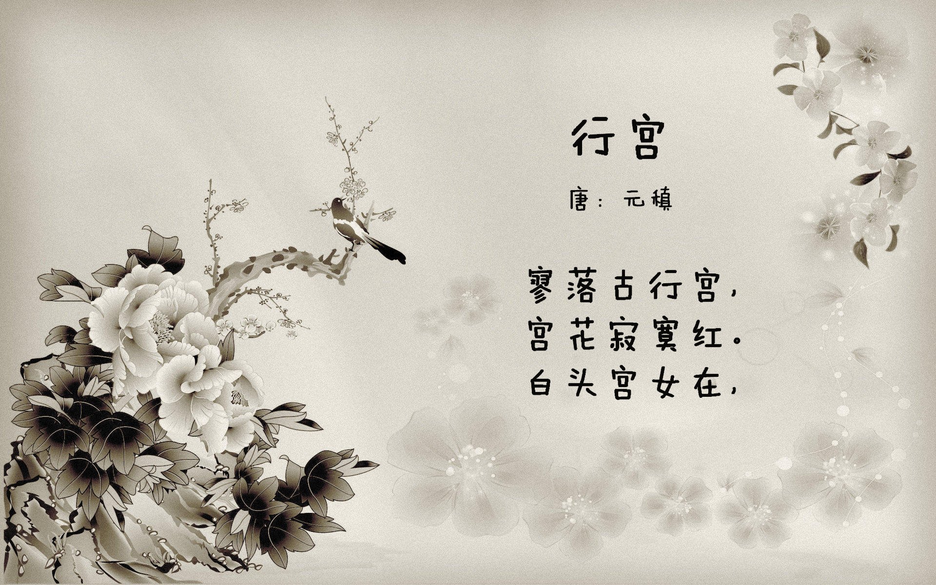 乐鱼体育官网下载-中国女篮提升比赛末节关键球执行力，中国女篮目标