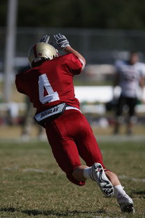 乐鱼体育在线网站-五大联赛最具统治力的球队如何打造，五大联赛良心球队