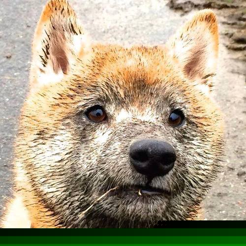 乐鱼官网-国际乒联举办全球青少年乒乓大赛，年轻选手表现出色，国际乒联青少年公开赛