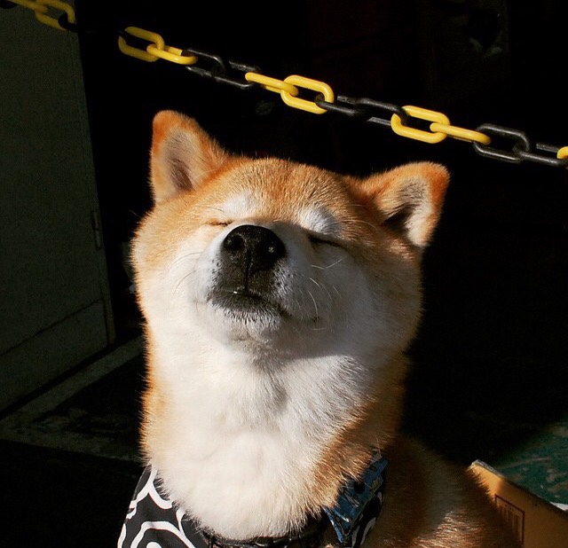 乐鱼体育平台登录-女子100蝶德国首进半决赛,德国女子百米运动员