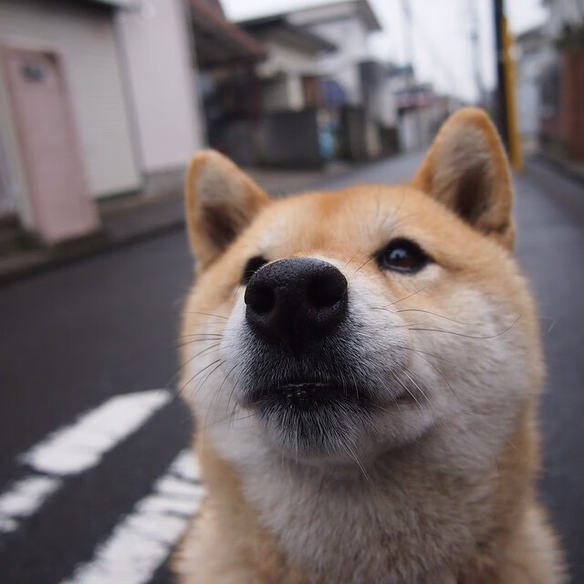 乐鱼体育登录-维拉锋线冲击打破比赛僵局，维拉 首发