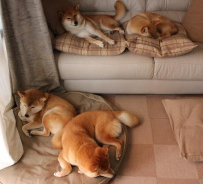 乐鱼体育登录入口-亚足联推动裁判专业化,提升执法水平,足球裁判执法心得体会