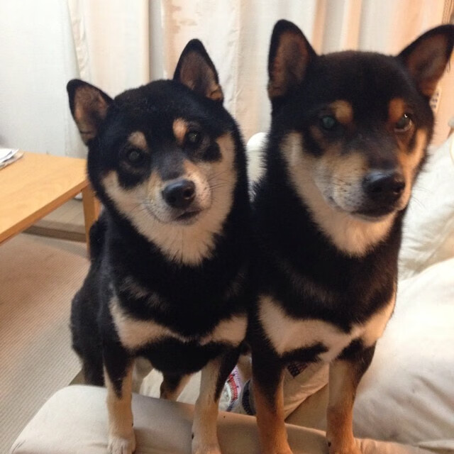 乐鱼体育登陆-俱乐部开展青训导师计划选拔优秀退役球员参与培养新生力量,俱乐部青训营有工资吗