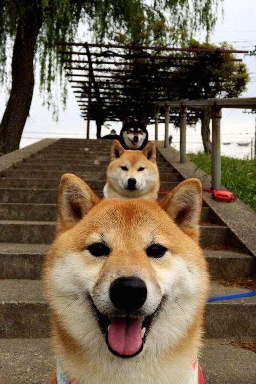 乐鱼体育app-教练战术风格与球队文化融合助推战力全面提升,教练技术的战神课程