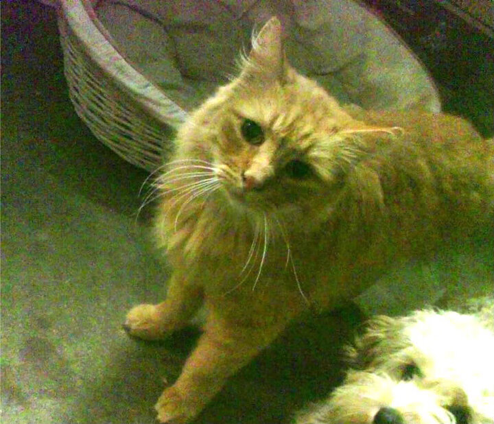 乐鱼体育官网下载-湖人公布球队新一季主题宣传照风格清新,湖人新赛季口号